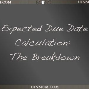 Estimated Due Date Calculation: The Breakdown