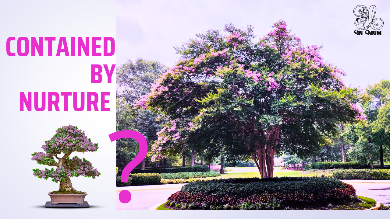 Contained by Nurture